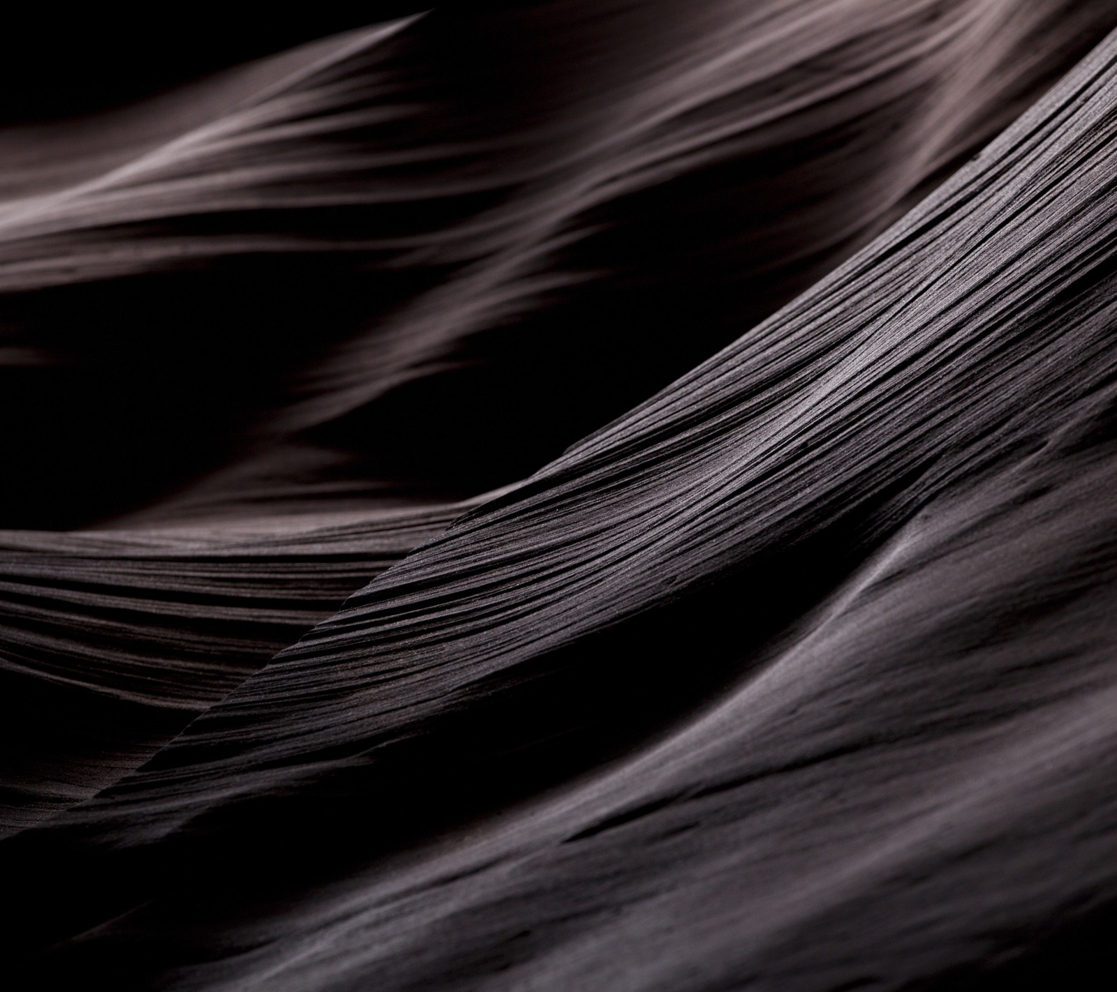 A close up of a black and white photo of a feather (abstract, black, dark, g4, lg)