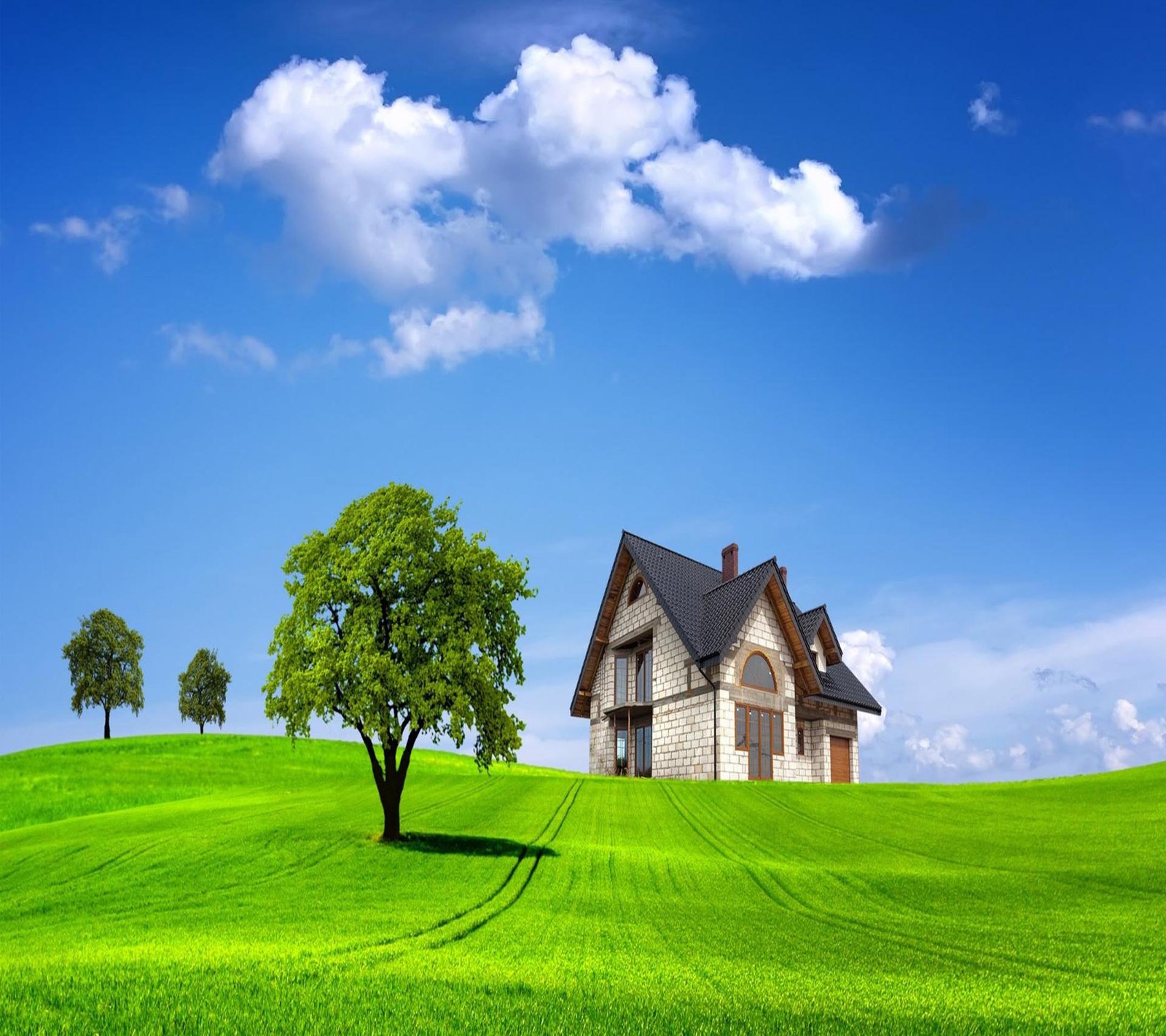 Uma casa em uma colina verde com uma árvore em primeiro plano (bonito, fofo, olhar, legal)