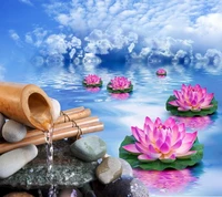 bamboo, flower, lily, stones, water wallpaper