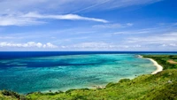 Tranquila costa caribeña bajo un cielo azul claro