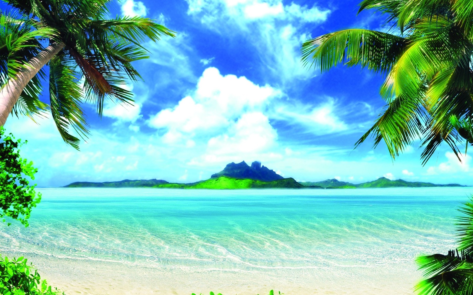 A view of a beach with palm trees and a mountain in the distance (vacation, nature, tropics, palm tree, vegetation)