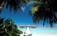 maldive islands, rangali, beach, island, resort wallpaper