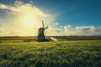 Moulin à vent pittoresque au coucher du soleil dans la prairie néerlandaise