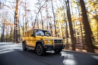 Mercedes-Benz G-Class: Внедорожные приключения в стиле среди осенних лесов