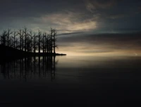 Siluetas de árboles secos al anochecer sobre un lago sereno