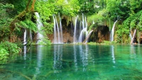 Cascata serena caindo em uma piscina tranquila cercada por vegetação exuberante