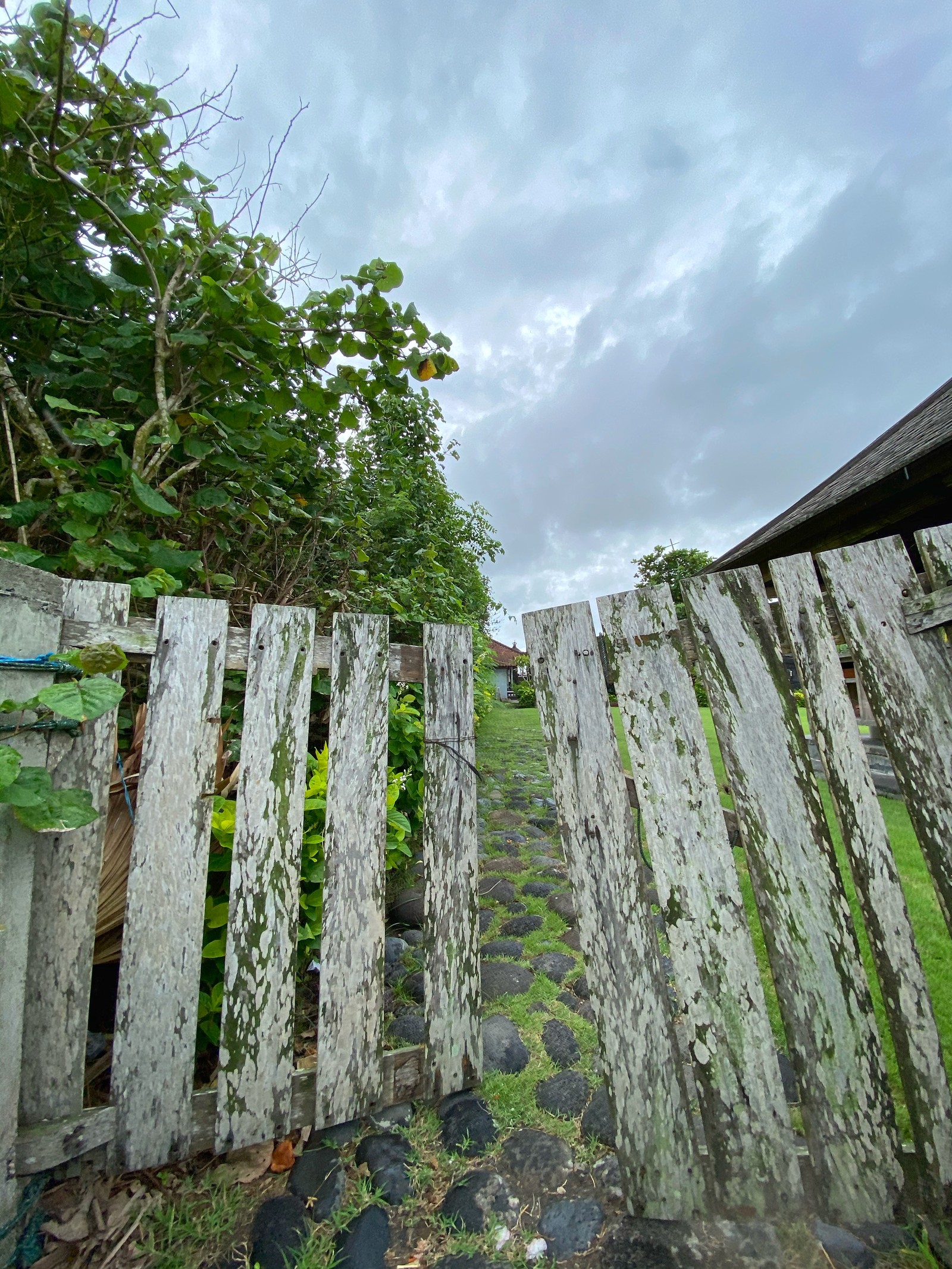 Il y a une clôture blanche à côté d'une maison (mur, zone rurale, plante couvre sol, plantation, plante terrestre non vasculaire)