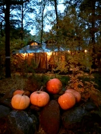 Brillo de Otoño: Calabazas Iluminan un Acogedor Refugio en el Bosque