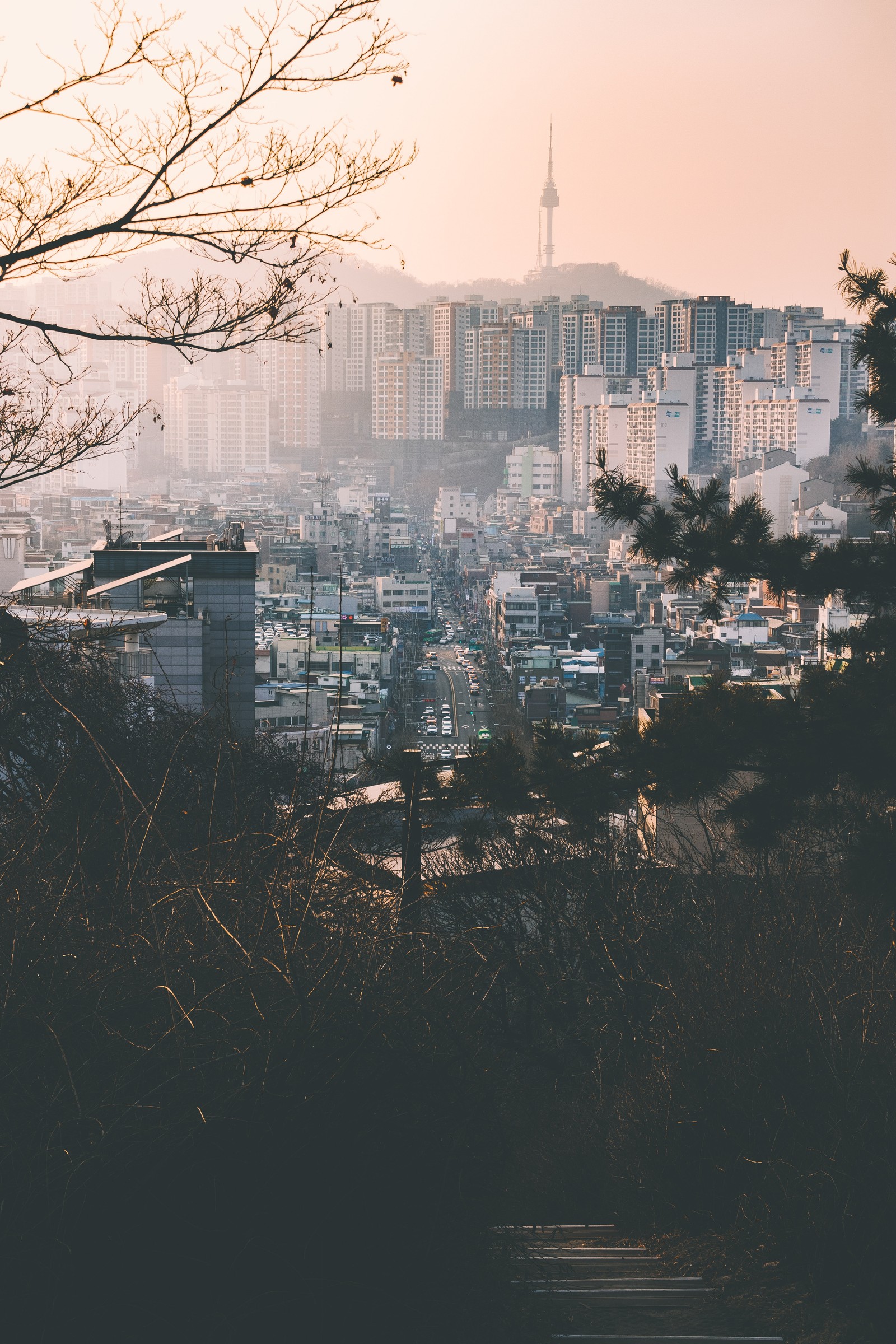 Vista de una ciudad desde una colina con un banco (área urbana, ciudad, reflexión, paisaje urbano, asentamiento humano)