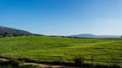 De vastes collines vertes herbeuses sous un ciel bleu clair, encadrées par des montagnes lointaines et un chemin de terre sinueux.