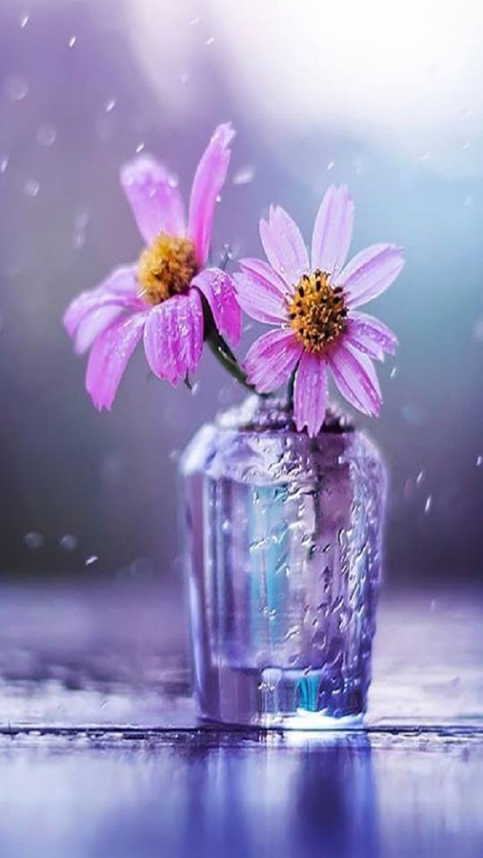 Il y a deux fleurs roses dans un vase en verre sur une table (fleurs, rose)