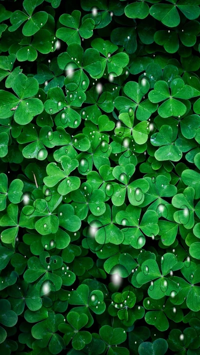 Fresh Green Leaves Adorned with Dewy Drops