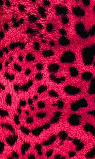 pelaje, leopardo, nuevo, rosa