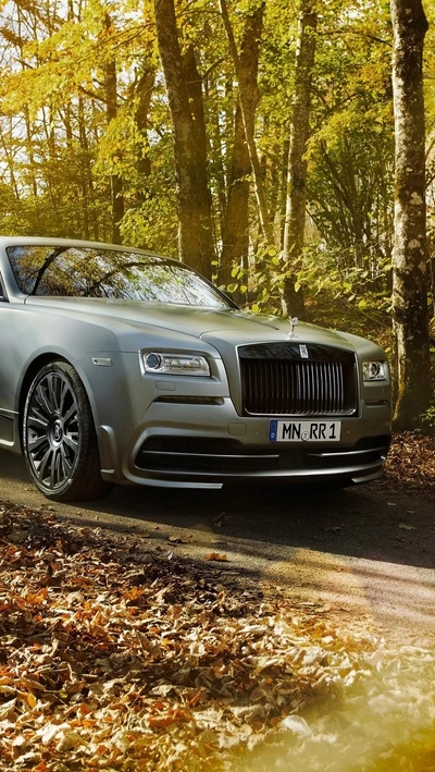 hd, nature, new, rolls, royce