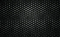 Black Mesh Pattern in Monochrome Texture