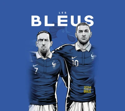 Les Bleus : Champions du Brésil 2014