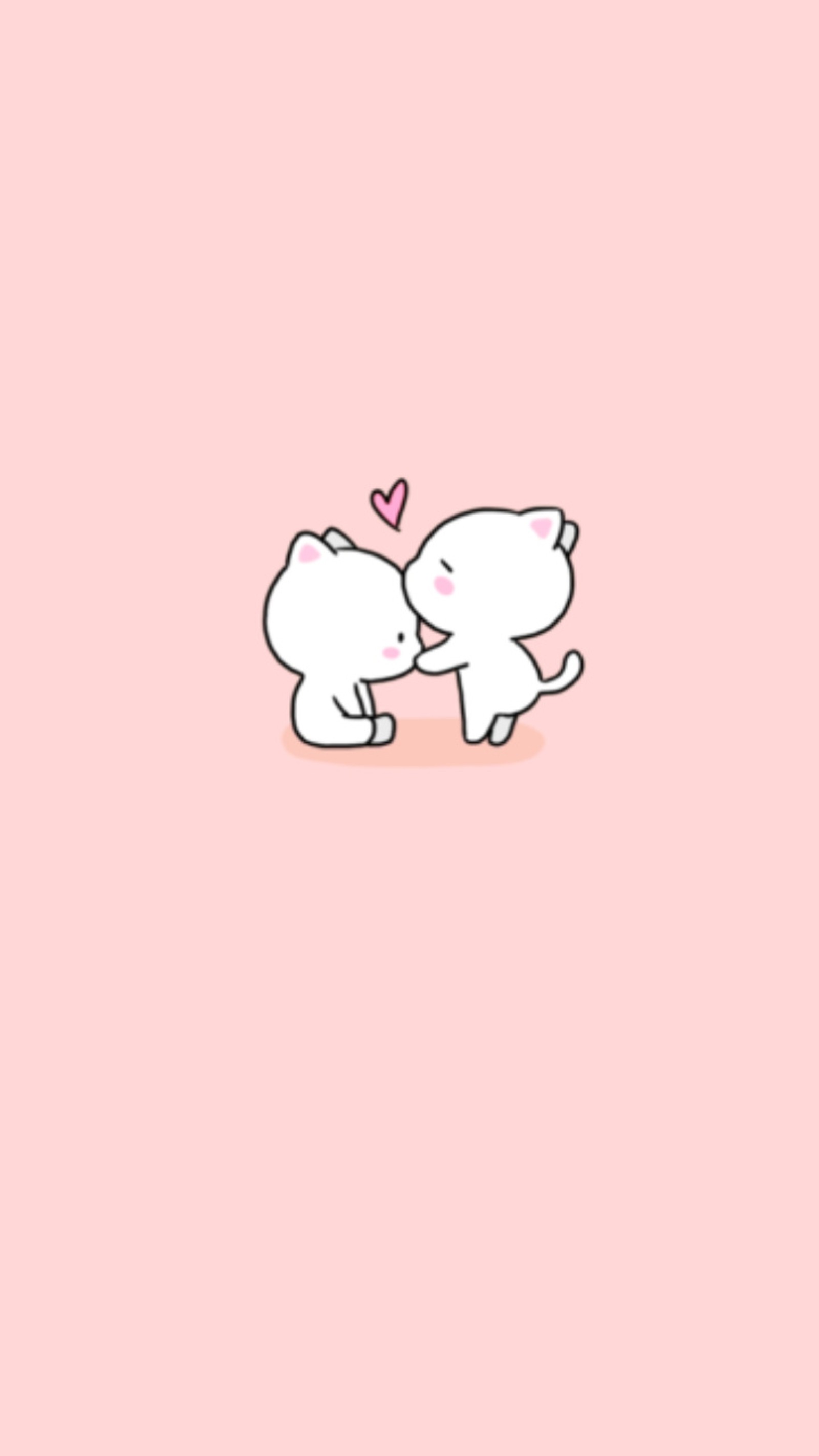 cat, cats, cute, kiss, kitty wallpaper