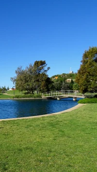 serene summer scene at a blue lake in Newcastle, Australia, under a clear sky