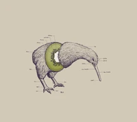 Une illustration fantaisiste d'un oiseau kiwi avec une coupe transversale révélant un fruit kiwi à l'intérieur, alliant nature et créativité.