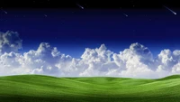 Night Sky with Shooting Stars Over Lush Grassland