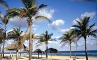 Paraíso de praia tropical em Varadero com palmeiras e cabanas de palha