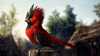 A striking red songbird perched on a post, featuring a distinctive feathered crest, set against a lush forest backdrop.