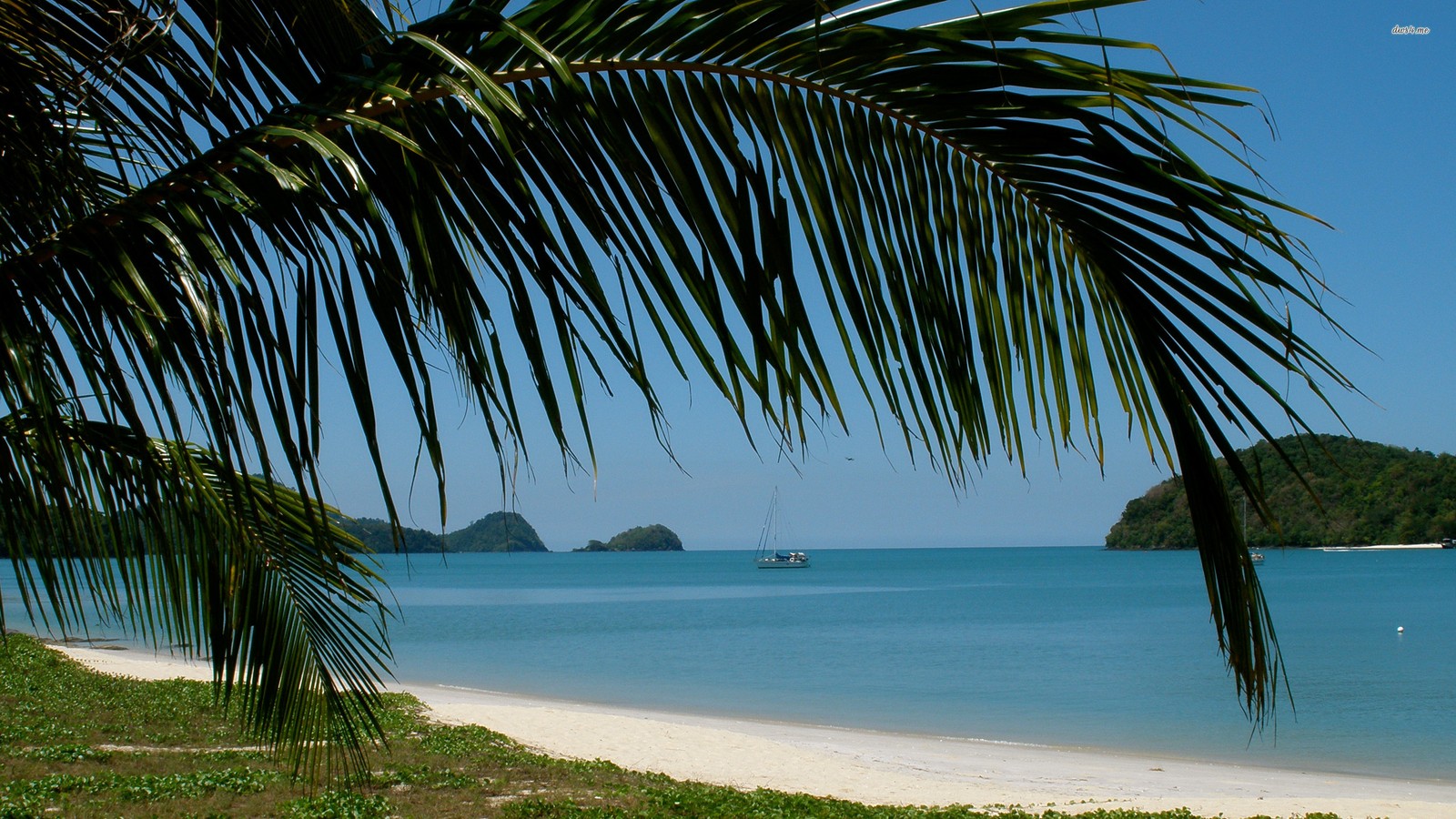 Il y a un bateau qui est sur l'eau près de la plage (tropiques, mer, eau, plage, arbre)