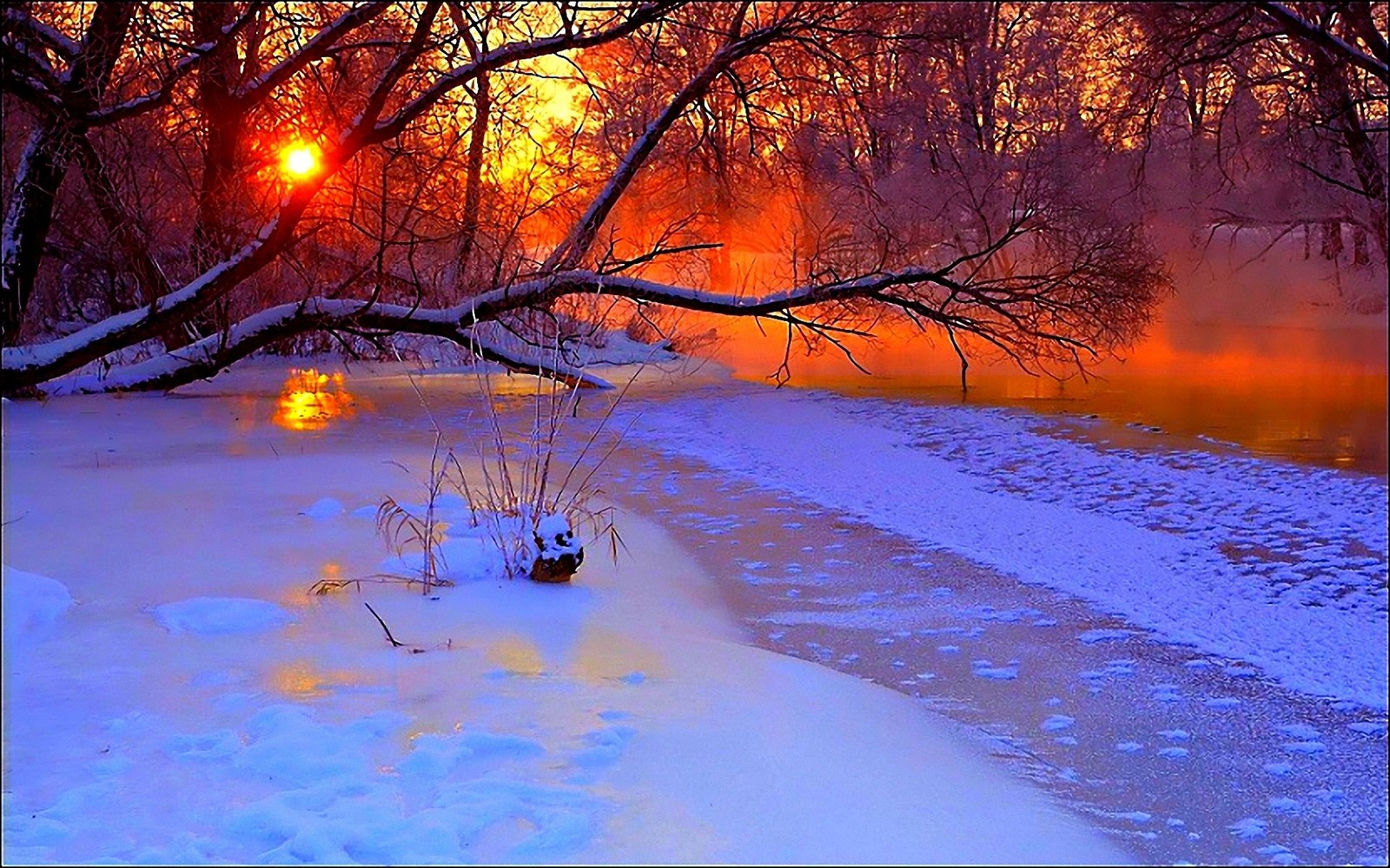 Arafed view of a frozen river with a tree branch in the foreground (sunset, snow, nature, freezing, tree)