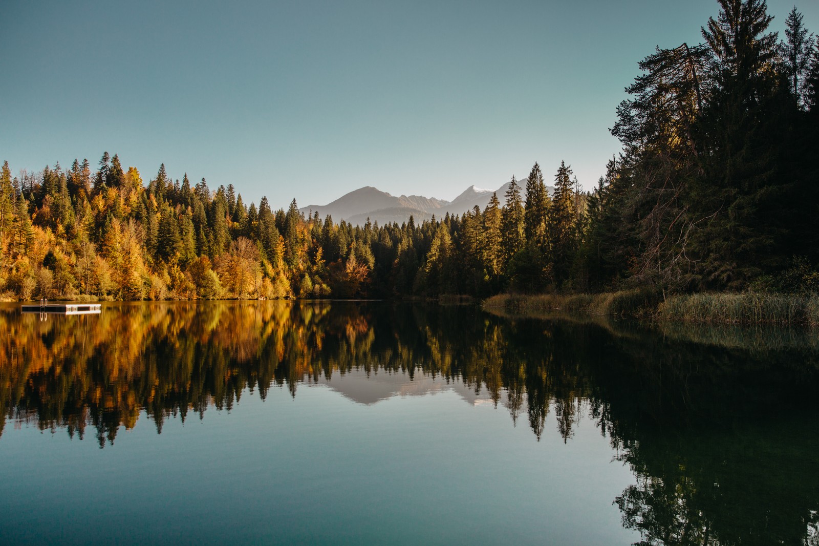 A view of a lake with a boat in the middle of it (reflection, water, plant, leaf, natural landscape)