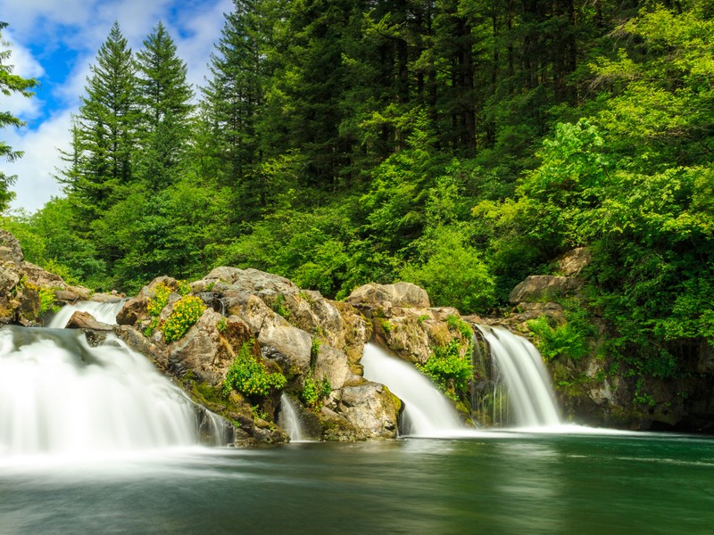 Водопад посреди леса с голубым небом (водопад, природа, водоток, водоем, водные ресурсы)