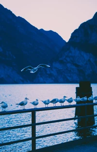 Gaivotas descansando à beira de um lago tranquilo sob montanhas majestosas