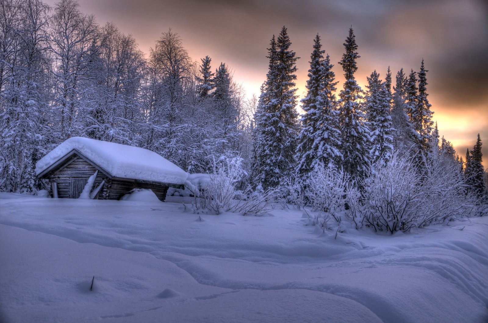 Снежная хижина в лесу на фоне заката (дом, снег, зима, природа, дерево)