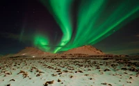 Enchanting Aurora Illuminates Snowy Landscape