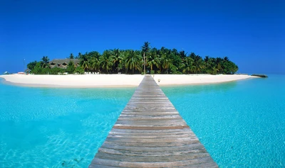 Paradis insulaire tropical avec des eaux cristallines et un quai en bois