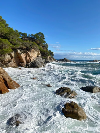 mer, plan deau, roche, eau, paysage naturel