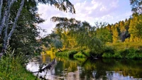 reflection, nature, water, tree, nature reserve wallpaper