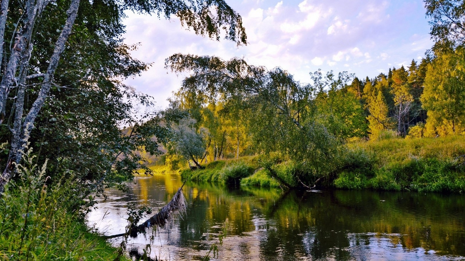 Uma vista de um rio com árvores e grama ao fundo (reflexo, natureza, água, árvore, reserva natural)