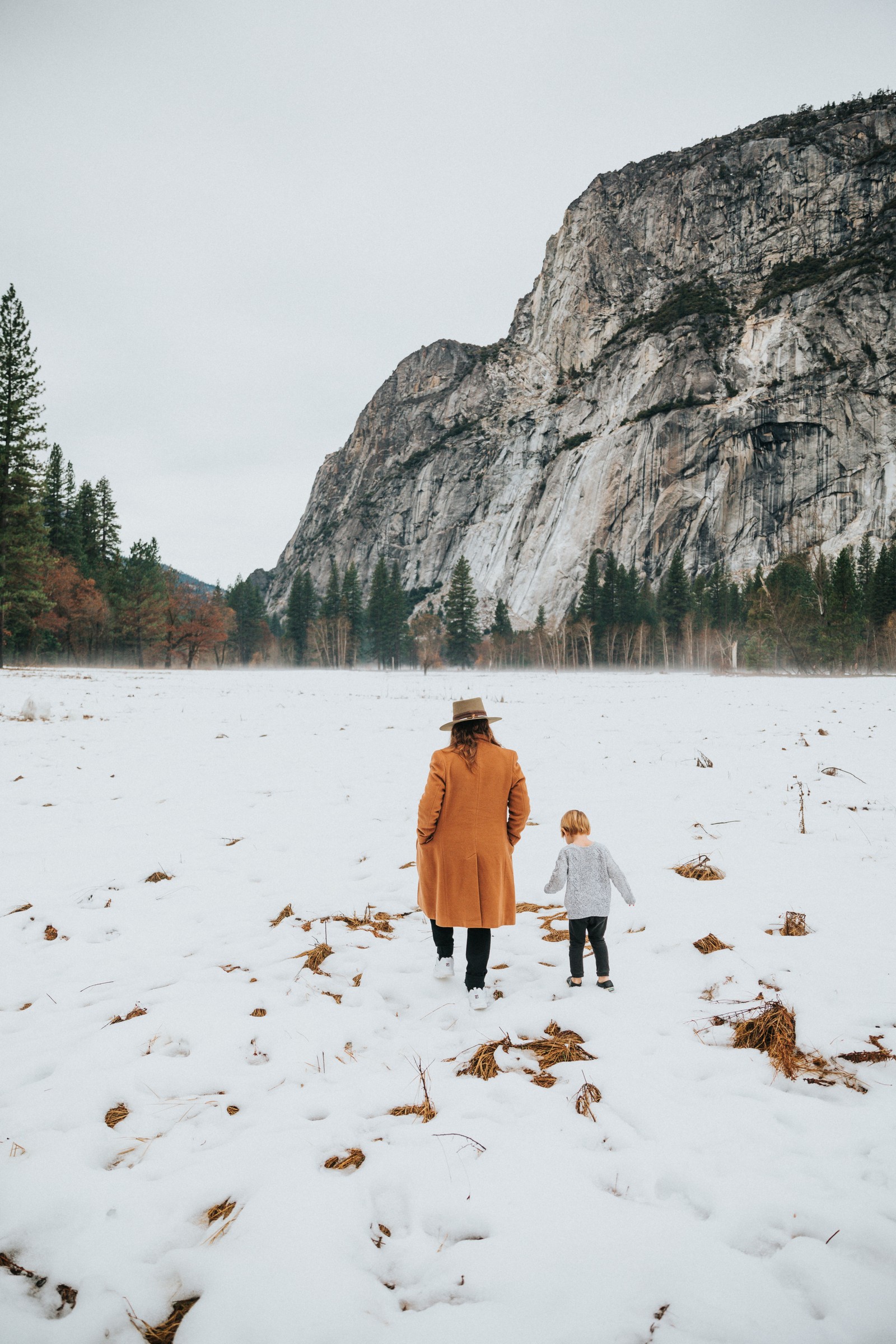 yosemite national park, snow, winter, tree, rock wallpaper