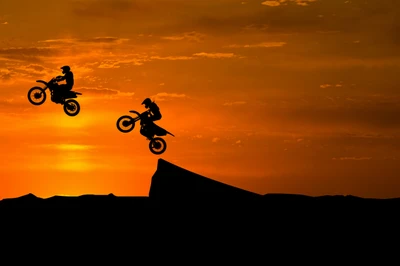 freestyle motocross, motocross, extreme sport, motorcycle racing, stunt performer