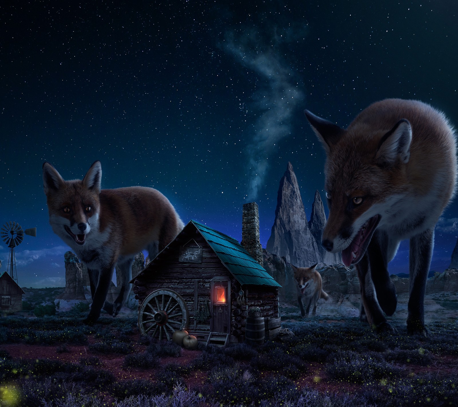 Duas raposas estão andando em um campo perto de uma cabana à noite (animal, lar, casa, lobo, lobos)