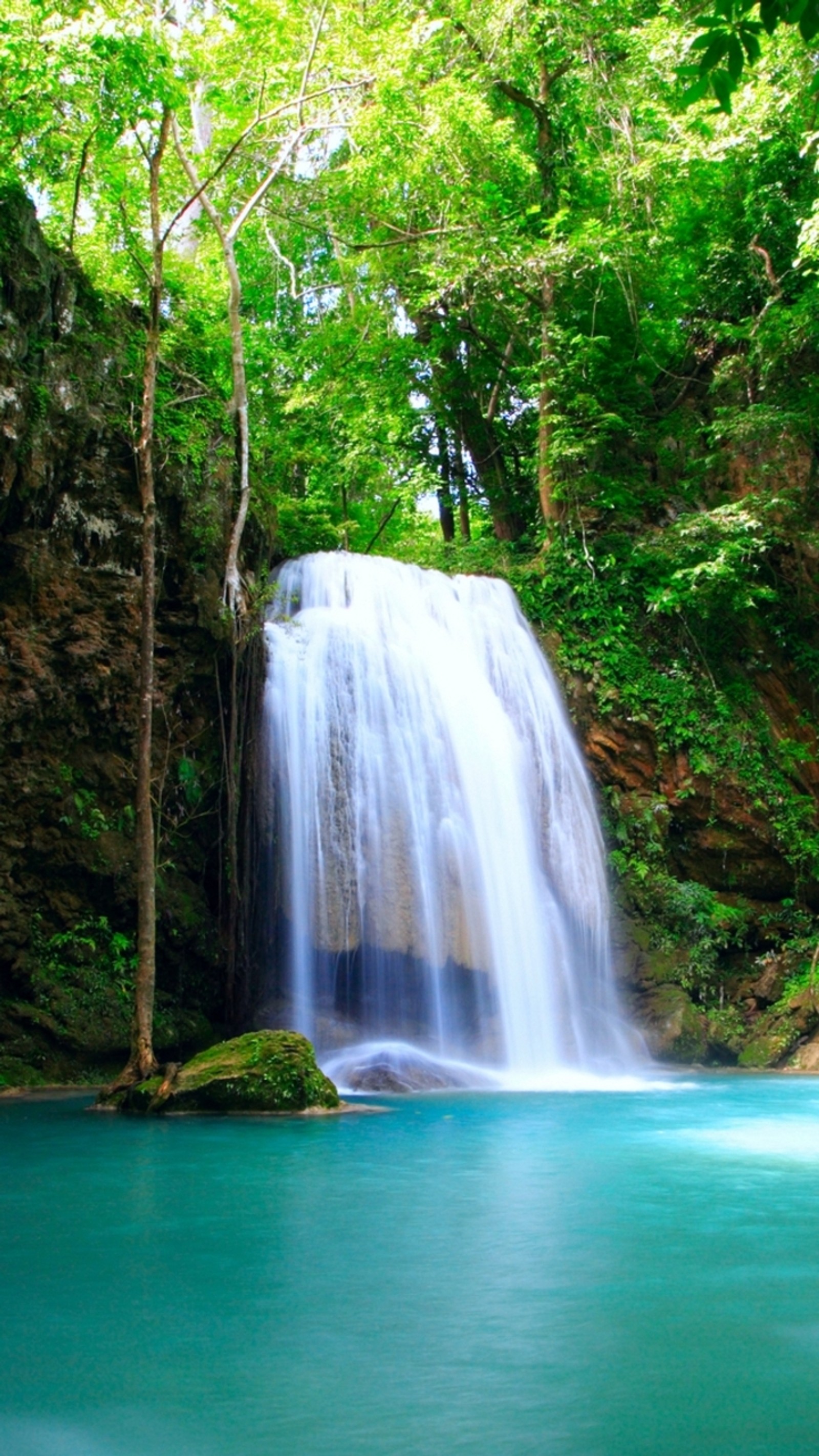 Cascada en la jungla con agua azul y árboles verdes (paisaje, naturaleza, cascadas)