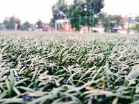 Campo de futebol sintético com grama verde e bem cuidada