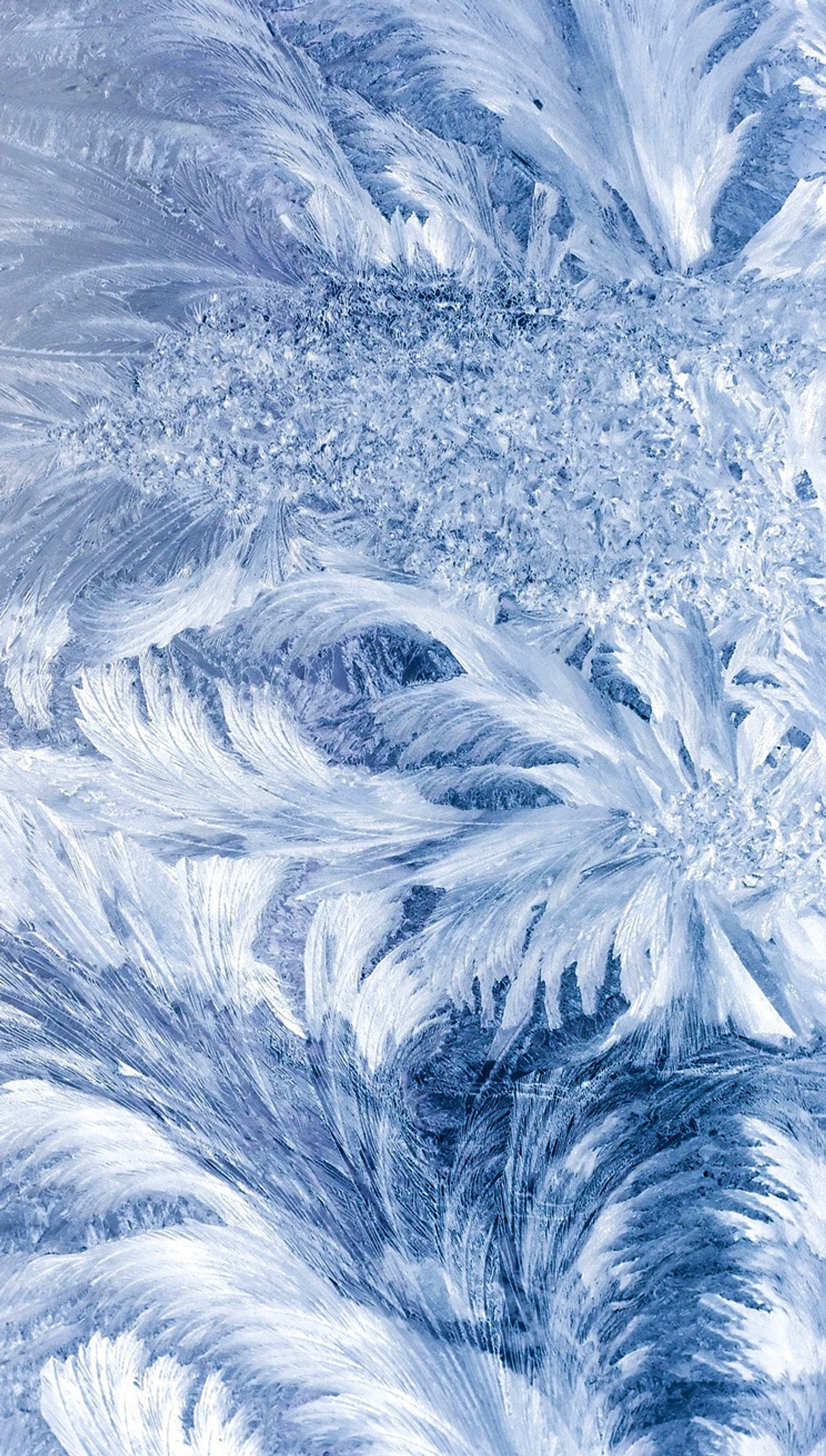 A close up of a frosty pattern on a window glass (abstract, nature, texture)