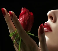 pour toi, rose rouge