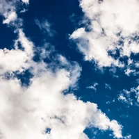 Nuages cumulus vibrants sous un ciel d'été