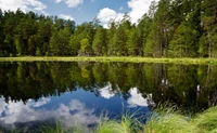 Reflet serein du lac au milieu d'une nature sauvage luxuriante