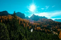 Lebendige Herbstwildnis in einer bergigen Landschaft