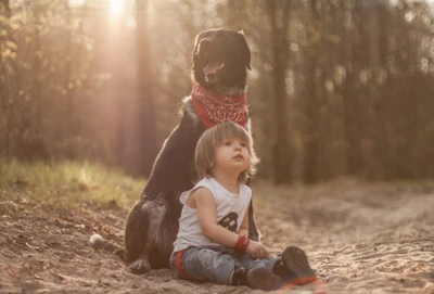 Enfant et chien profitant de moments ensoleillés dans la nature