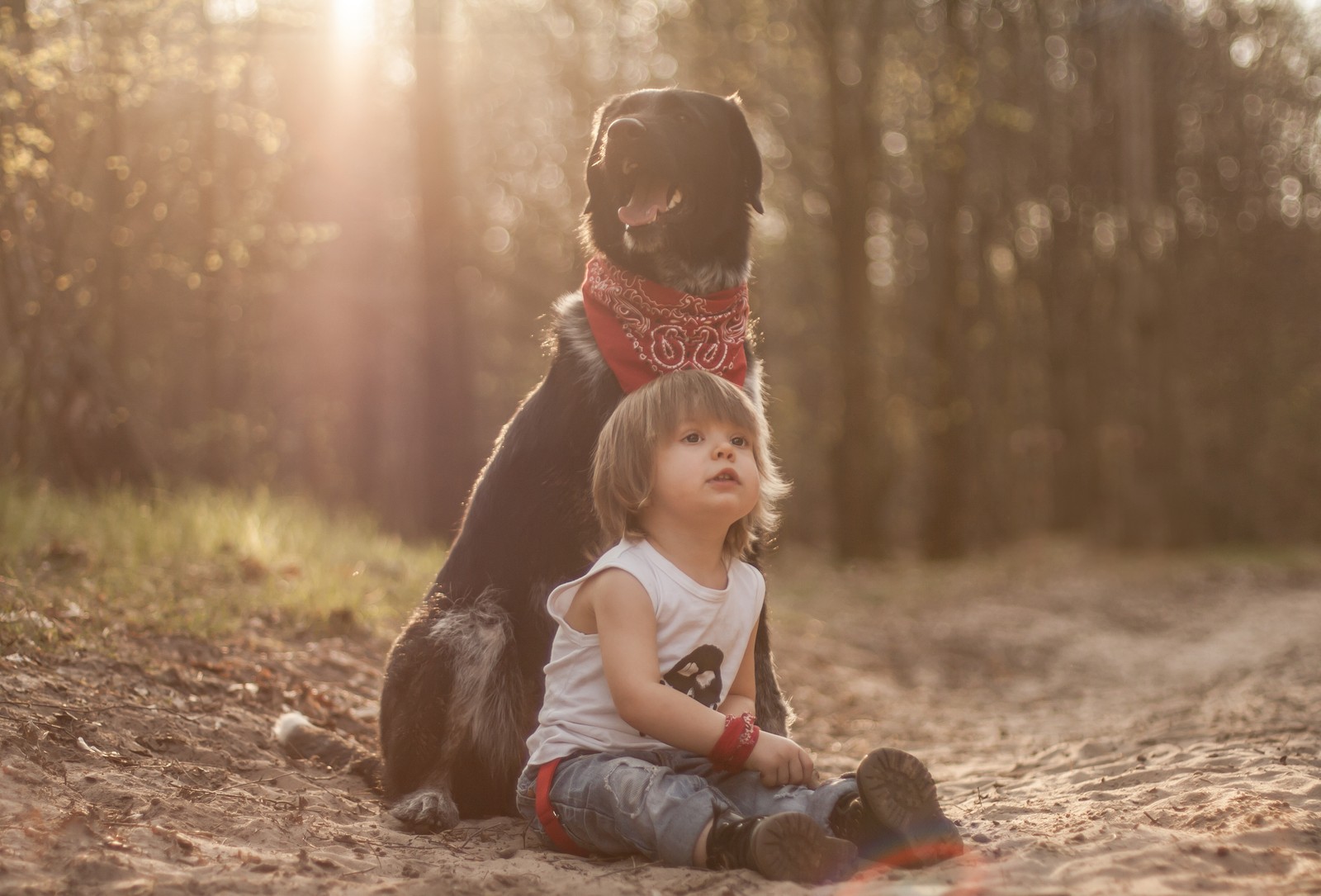 child, sunlight, fun, tree, grass wallpaper