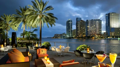 miami, ville, immobilier, palmier, arbre